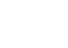 TDC logo