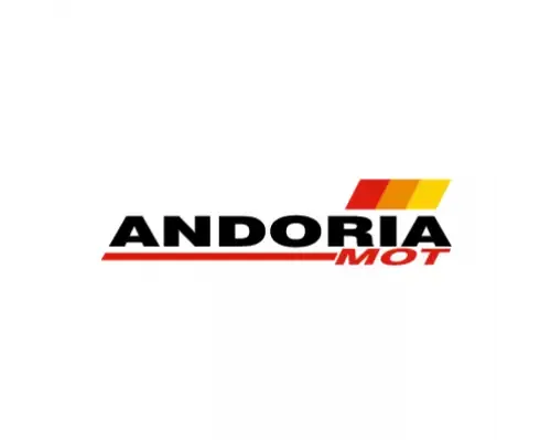 Ремонт двигунів Andoria